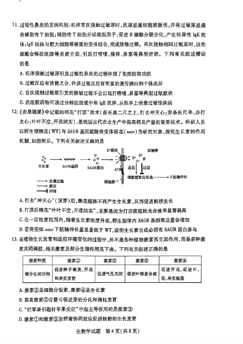 河南省天一大联考2025-2026学年高二上学期12月月考生物试题含答案_251220河南省天一大联考2025-2026学年高二上学期12月阶段性检测