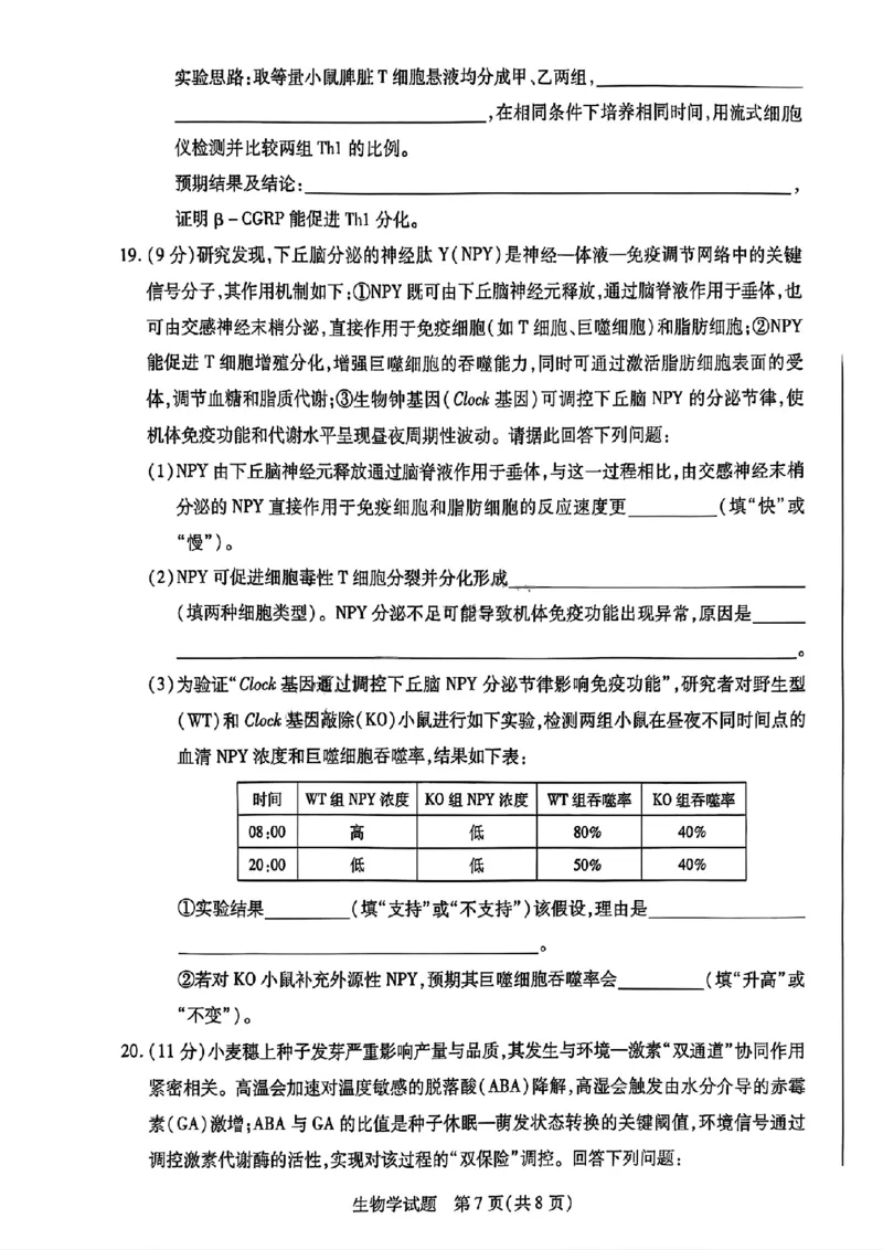 河南省天一大联考2025-2026学年高二上学期12月月考生物试题含答案_251220河南省天一大联考2025-2026学年高二上学期12月阶段性检测