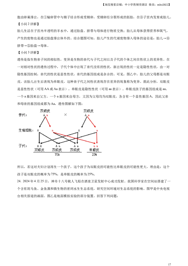 精品解析：2024年四川省成都市中考生物试题（解析版）_8.生物中考真题2015-2024年_2024年中考生物真题_精品解析：2024年四川省成都市初中学业水平考试（中考）生物学试题