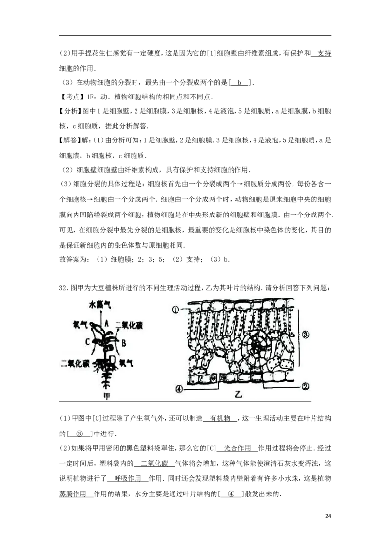 新疆2017年中考生物真题试题（含解析）_8.生物中考真题2015-2024年_2017年全国中考生物124份