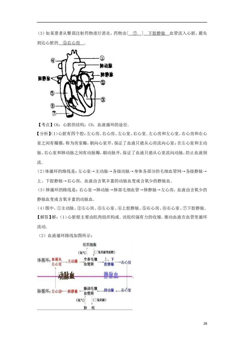 新疆2017年中考生物真题试题（含解析）_8.生物中考真题2015-2024年_2017年全国中考生物124份