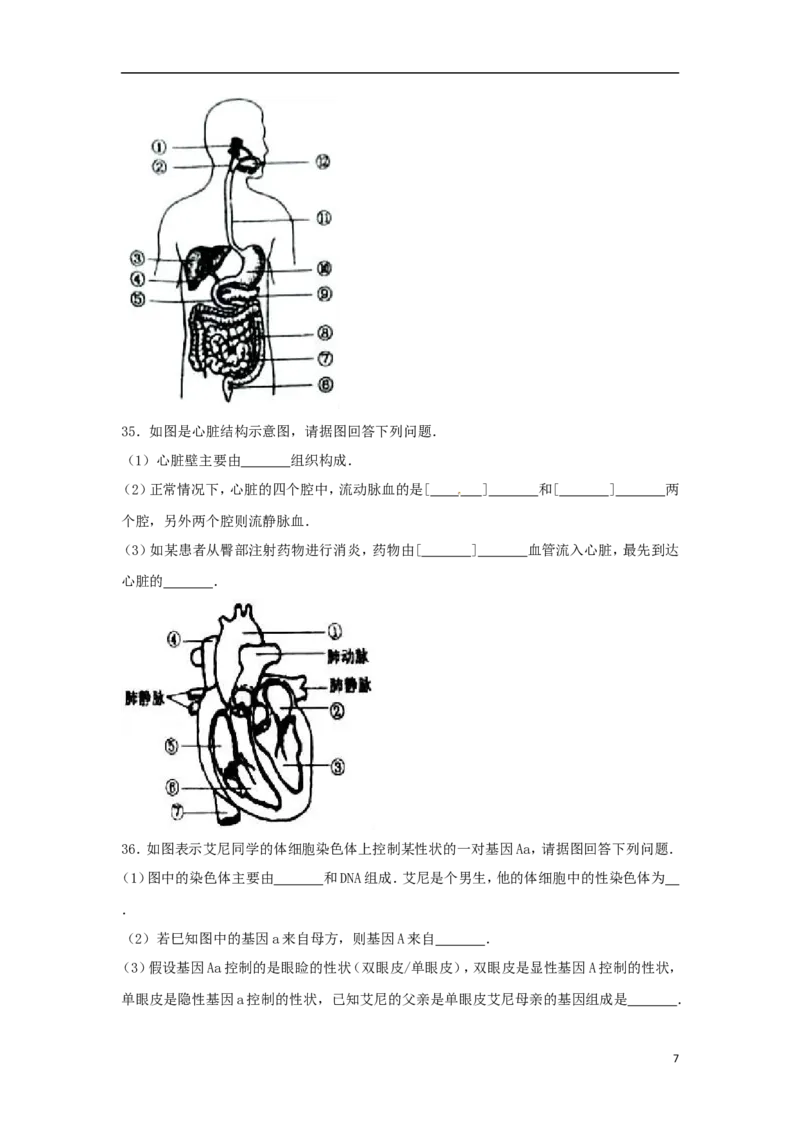 新疆2017年中考生物真题试题（含解析）_8.生物中考真题2015-2024年_2017年全国中考生物124份