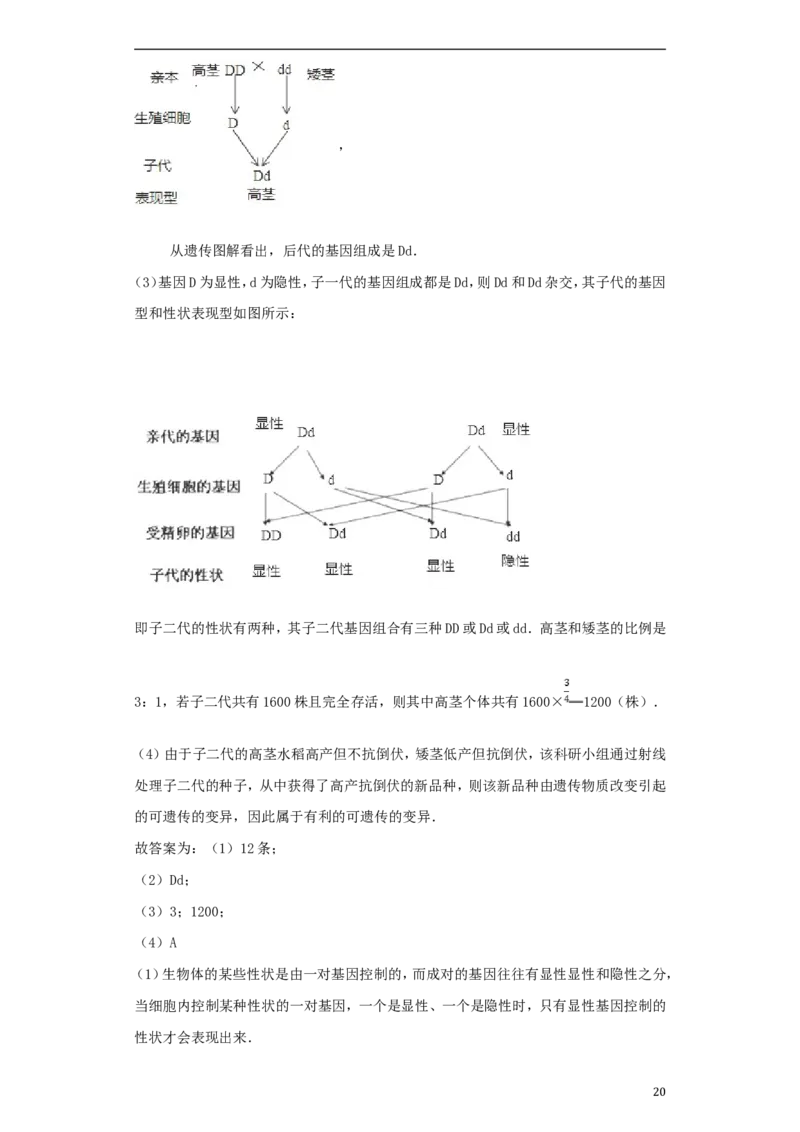 湖南省常德市2018年中考生物真题试题（含解析）_8.生物中考真题2015-2024年_2018年全国中考生物141份
