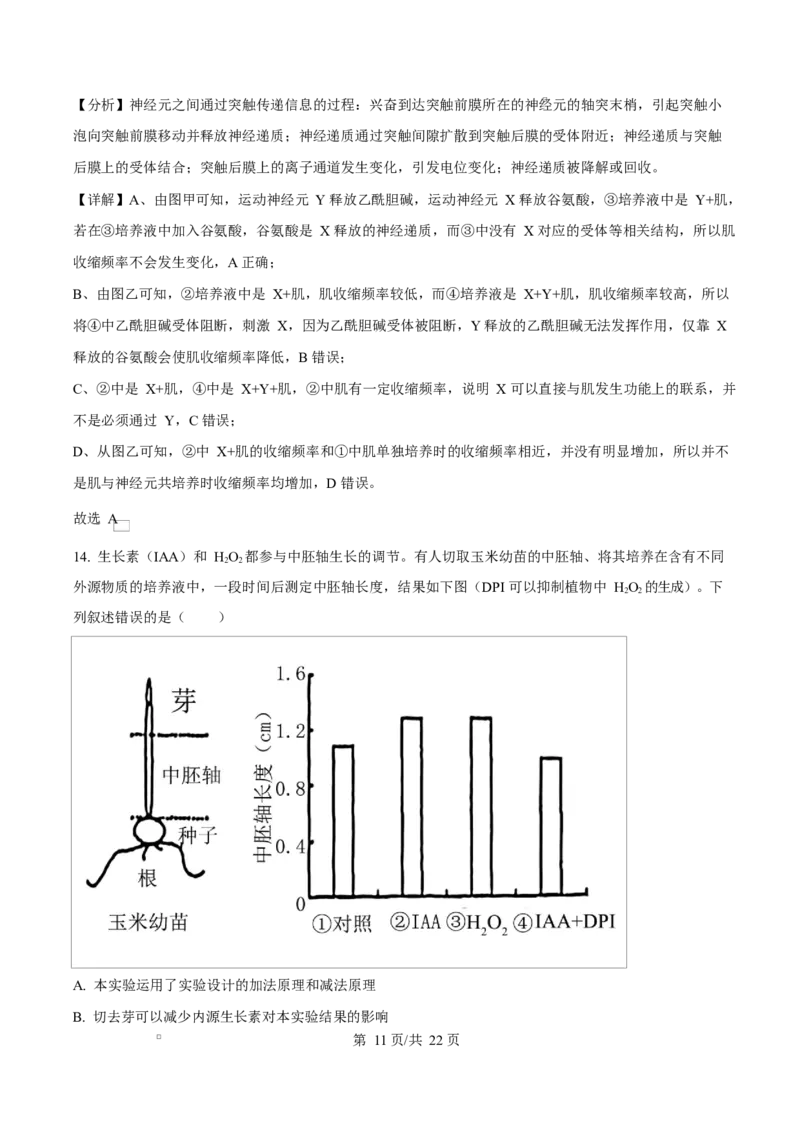 2025年高考生物试卷（四川卷）（解析卷）_四川历年高考真题2008-2025_Word版_2008-2025&middot;（四川）生物高考真题