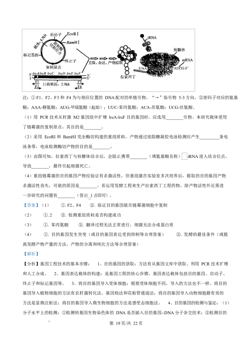 2025年高考生物试卷（四川卷）（解析卷）_四川历年高考真题2008-2025_Word版_2008-2025&middot;（四川）生物高考真题