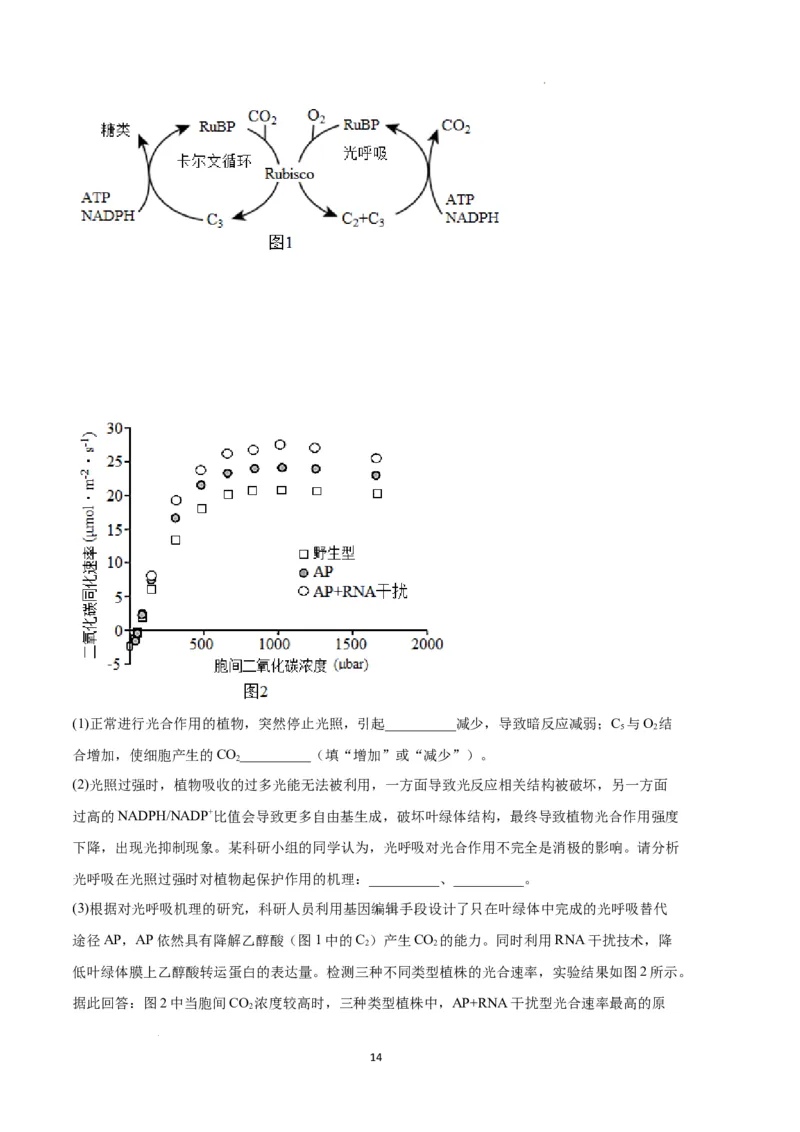生物（湖南卷）（全解全析）_2023高考押题卷_学易金卷-2023学科网押题卷（各科各版本）_2023学科网押题卷-学易金卷-生物_生物（湖南卷）-学易金卷：2023年高考考前押题密卷