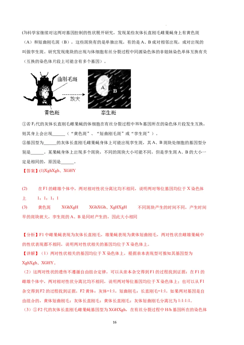 生物（湖南卷）（全解全析）_2023高考押题卷_学易金卷-2023学科网押题卷（各科各版本）_2023学科网押题卷-学易金卷-生物_生物（湖南卷）-学易金卷：2023年高考考前押题密卷