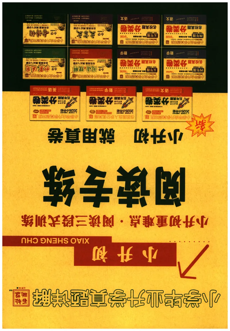 提分专练+阅读专练语文_2026广东小升初真题试卷_2026小升初真题试卷语文