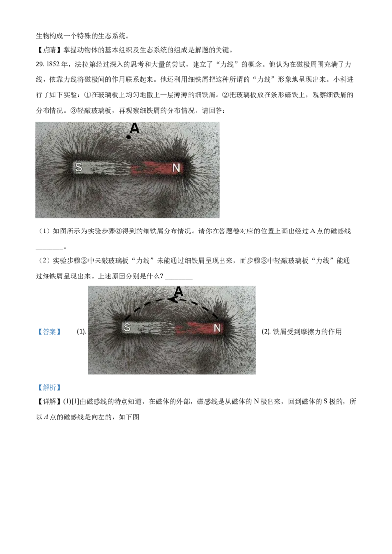 精品解析：浙江省宁波市2020年中考科学试题（解析版）_7.政治中考真题2015-2024年_2020政治真题79份_2020年中考真题精品解析科学（浙江宁波卷）精编word版