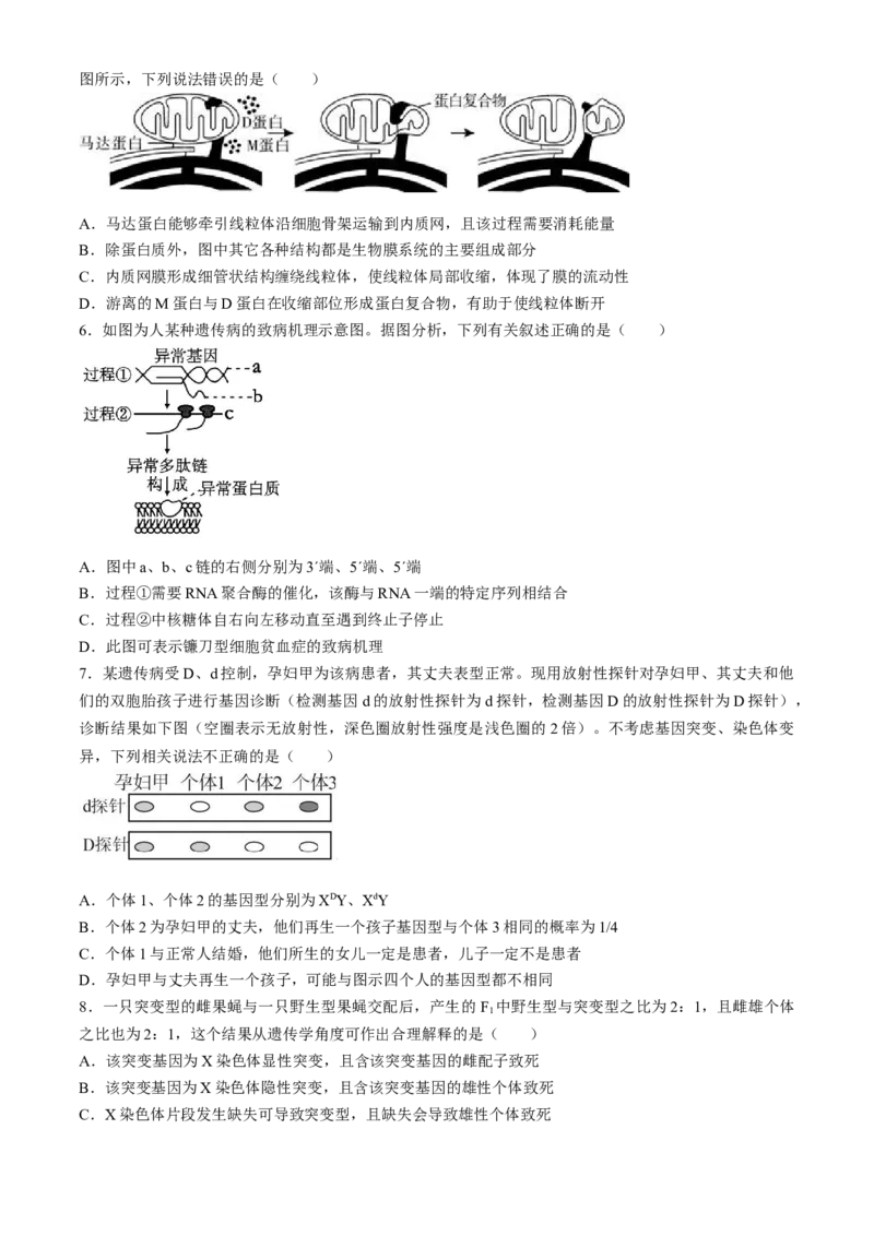 2024届湖北省荆州中学高三下学期第三次适应性考试生物试题_2024年5月_01按日期_30号_2024届湖北省荆州中学高三下学期第三次适应性考试