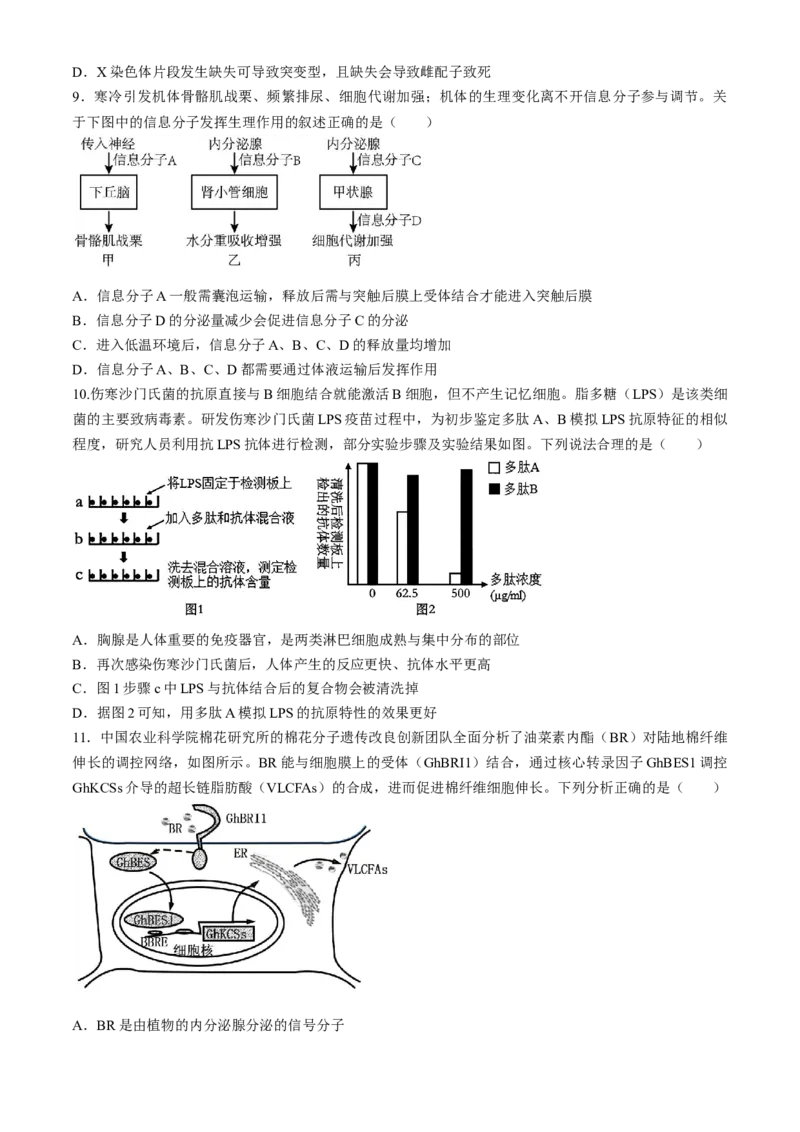 2024届湖北省荆州中学高三下学期第三次适应性考试生物试题_2024年5月_01按日期_30号_2024届湖北省荆州中学高三下学期第三次适应性考试
