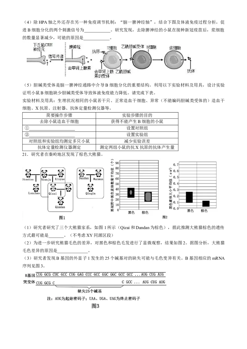 2024届湖北省荆州中学高三下学期第三次适应性考试生物试题_2024年5月_01按日期_30号_2024届湖北省荆州中学高三下学期第三次适应性考试