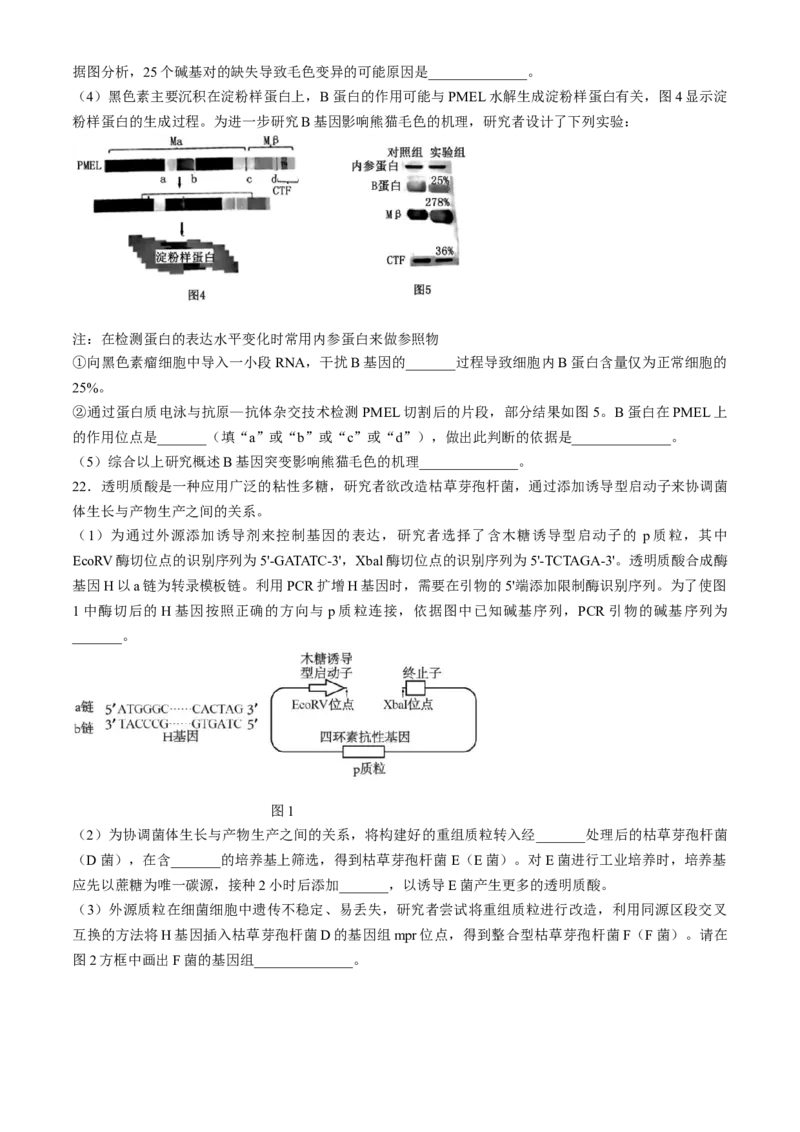 2024届湖北省荆州中学高三下学期第三次适应性考试生物试题_2024年5月_01按日期_30号_2024届湖北省荆州中学高三下学期第三次适应性考试