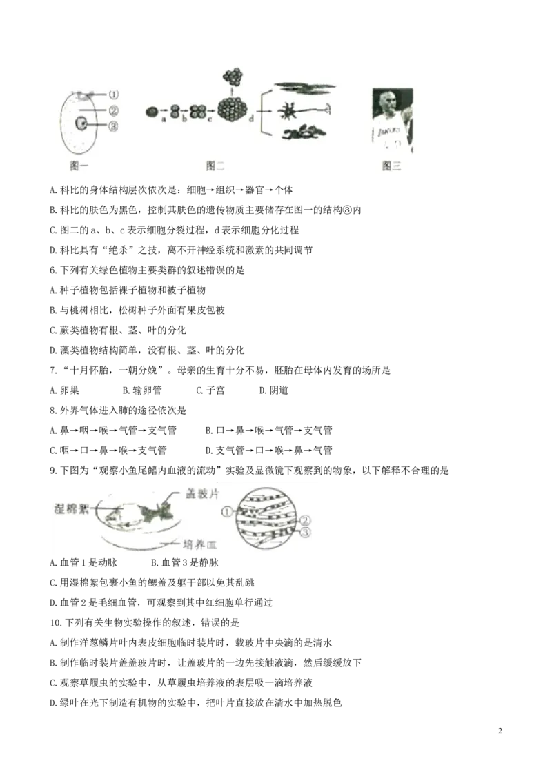湖南省衡阳市2017年中考生物真题试题（含扫描答案）_8.生物中考真题2015-2024年_2017年全国中考生物124份