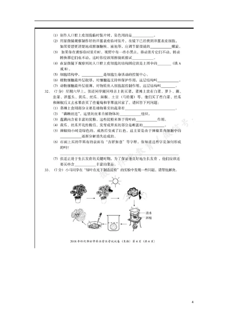 湖南省怀化市2018年中考生物真题试题（扫描版，含答案）_8.生物中考真题2015-2024年_2018年全国中考生物141份