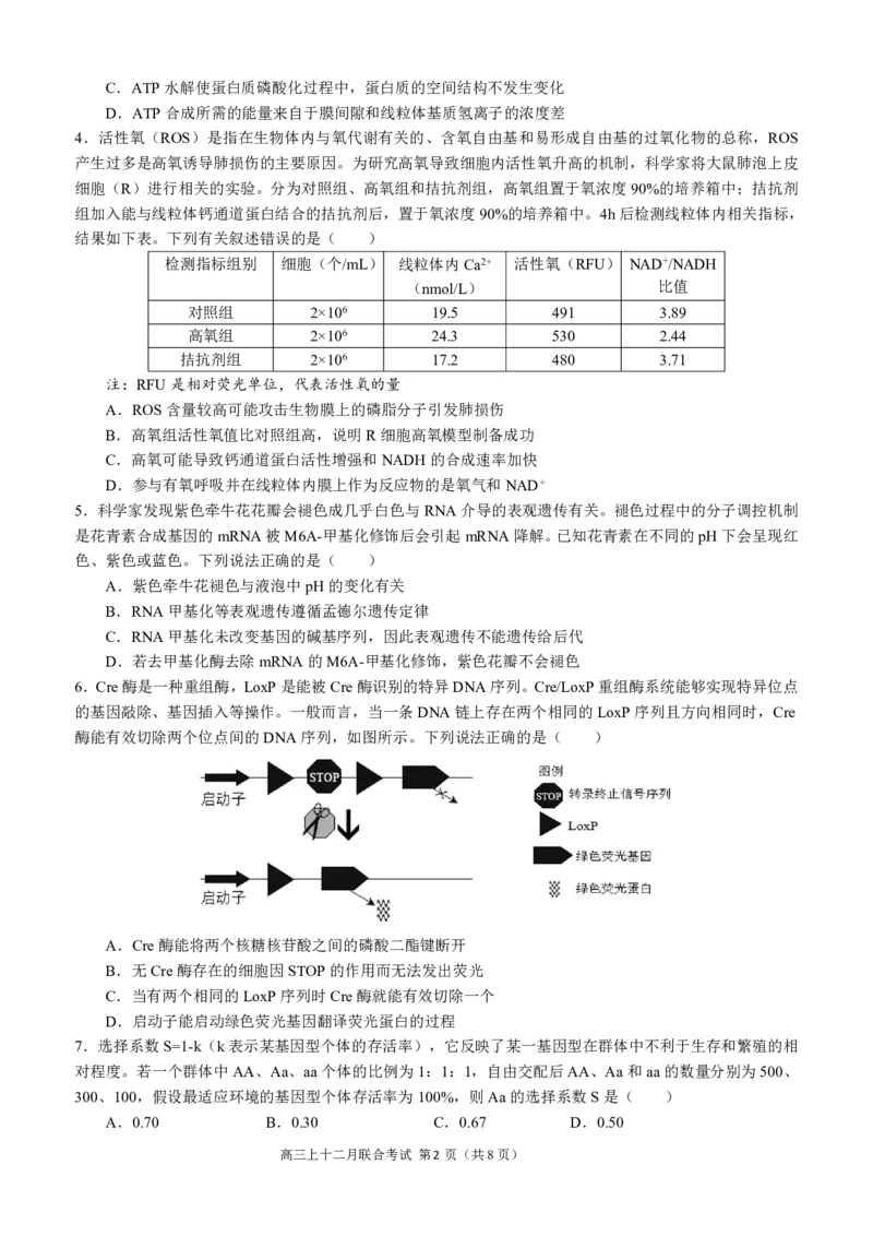 高2024届拔尖强基联盟高三二月联合考试生物试题（定稿）_2024年2月_01每日更新_26号_3校2月