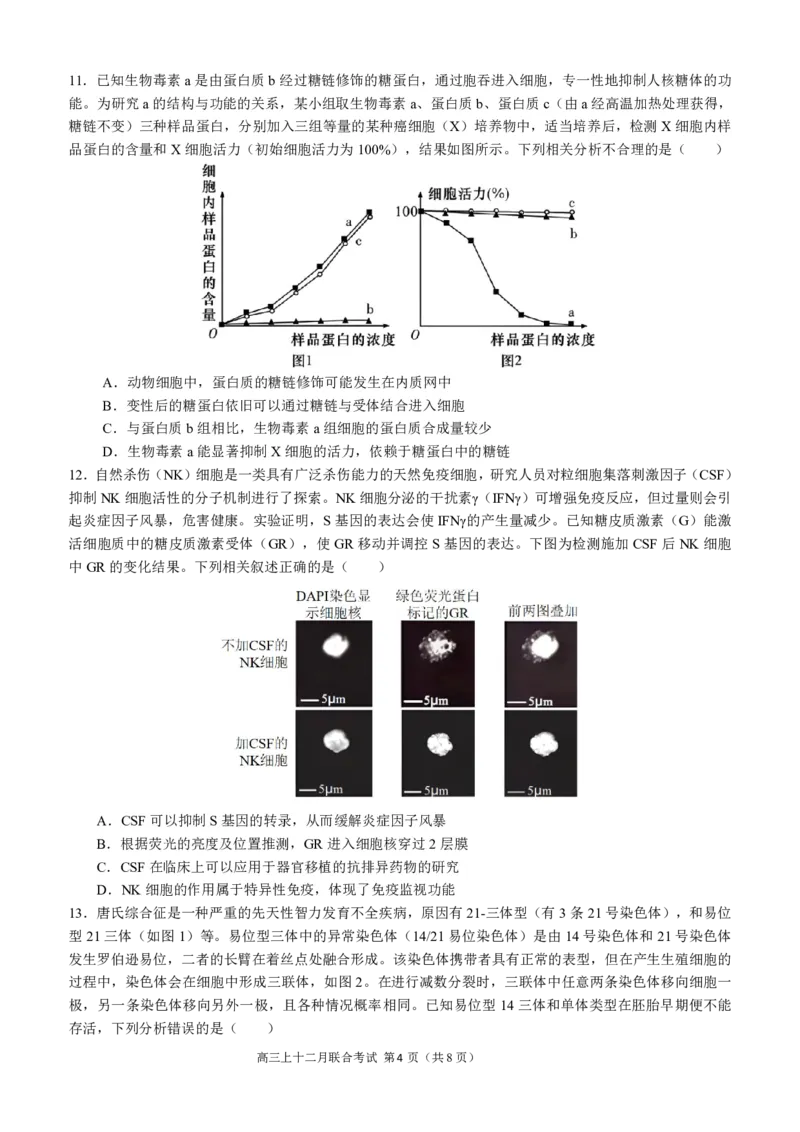 高2024届拔尖强基联盟高三二月联合考试生物试题（定稿）_2024年2月_01每日更新_26号_3校2月