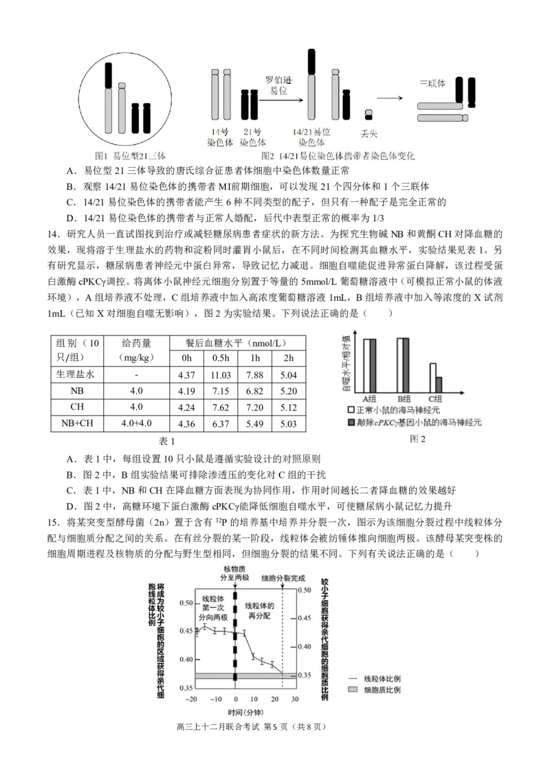 高2024届拔尖强基联盟高三二月联合考试生物试题（定稿）_2024年2月_01每日更新_26号_3校2月