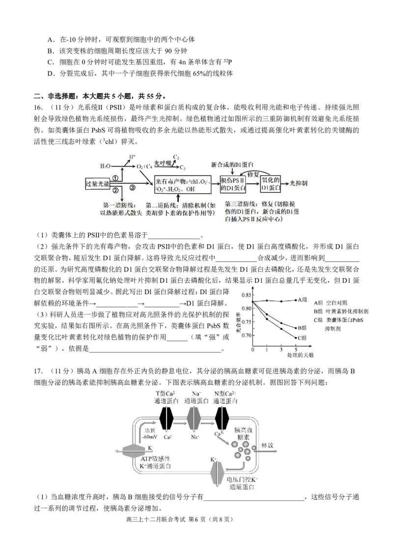 高2024届拔尖强基联盟高三二月联合考试生物试题（定稿）_2024年2月_01每日更新_26号_3校2月