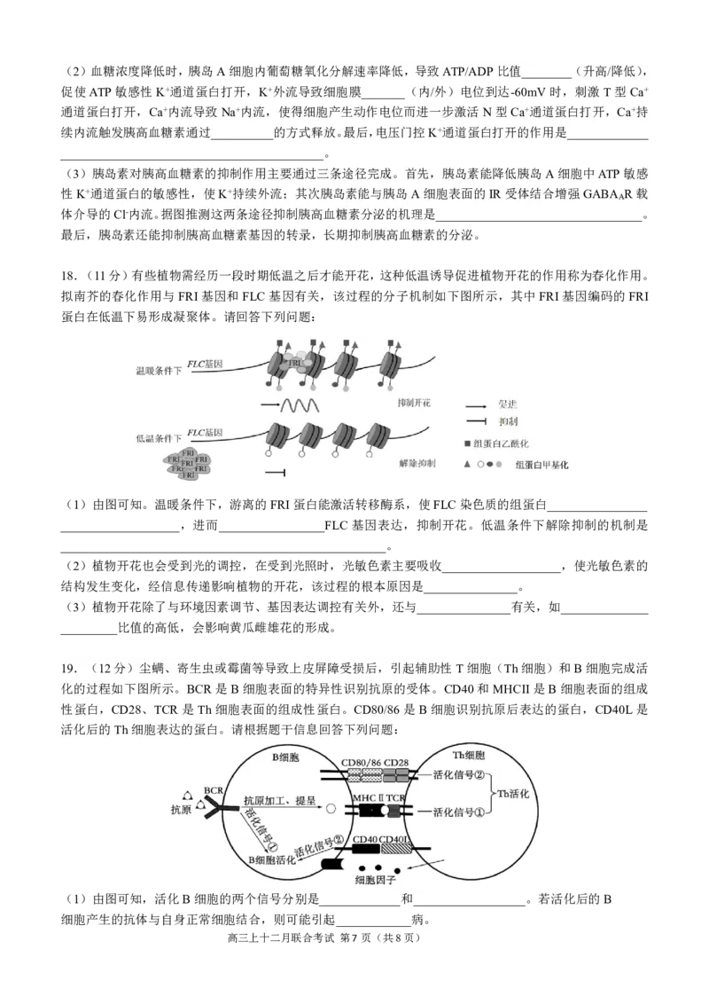 高2024届拔尖强基联盟高三二月联合考试生物试题（定稿）_2024年2月_01每日更新_26号_3校2月