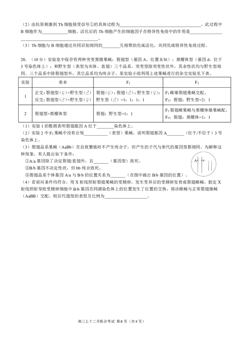 高2024届拔尖强基联盟高三二月联合考试生物试题（定稿）_2024年2月_01每日更新_26号_3校2月