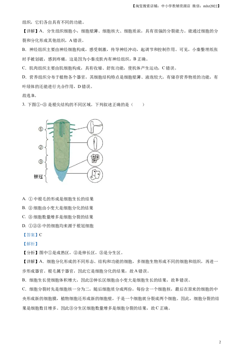 精品解析：2024年陕西省中考生物真题（解析版）_8.生物中考真题2015-2024年_2024年中考生物真题_精品解析：2024年陕西省中考生物真题