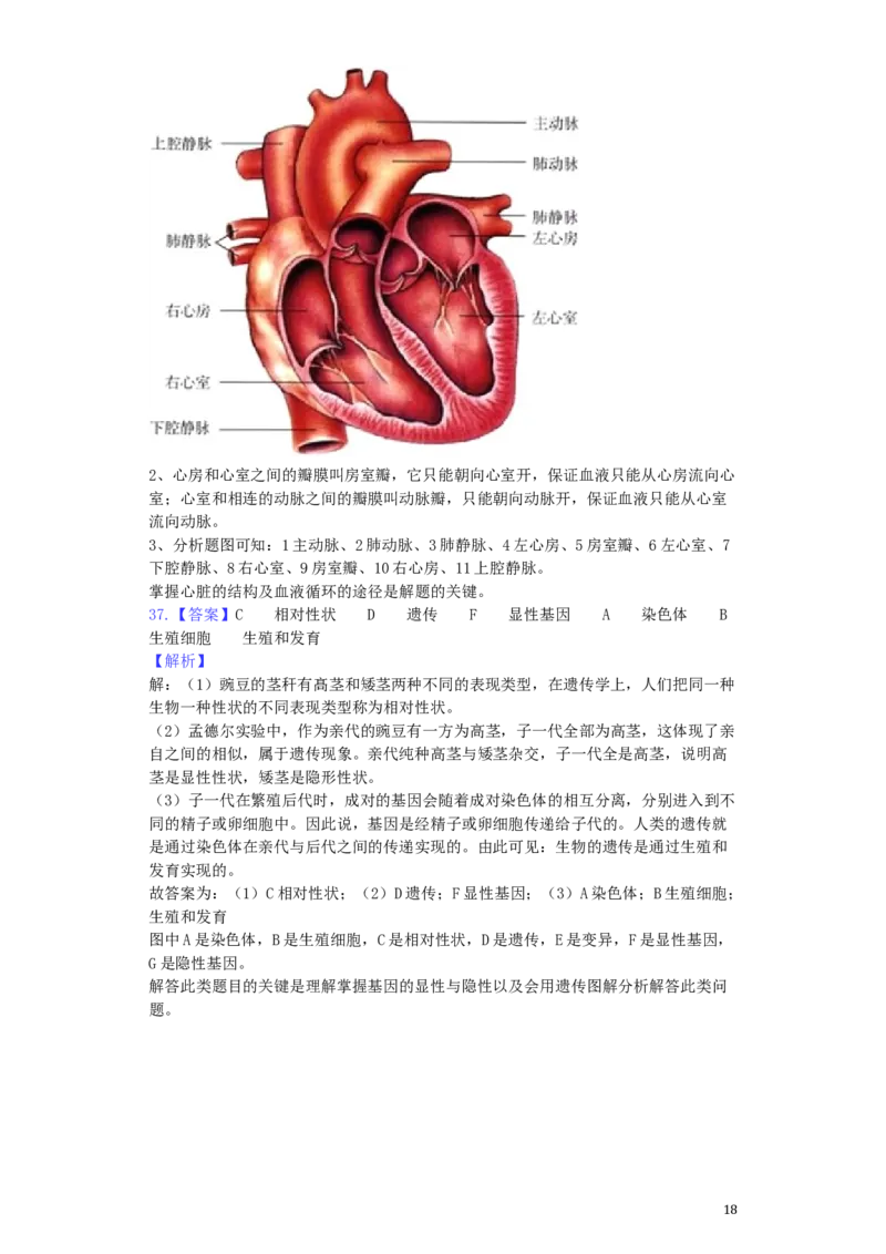 山东省威海市2019年中考生物真题试题（含解析）_8.生物中考真题2015-2024年_2019年全国中考生物92份