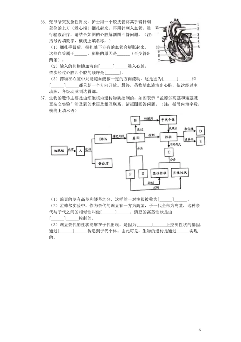 山东省威海市2019年中考生物真题试题（含解析）_8.生物中考真题2015-2024年_2019年全国中考生物92份