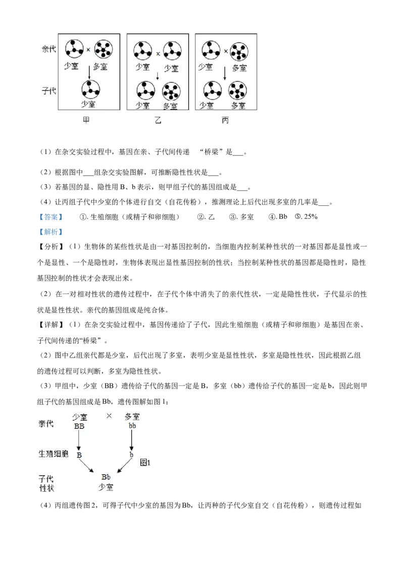 山东省淄博市2021年中考生物试题（解析版）_8.生物中考真题2015-2024年_地区卷_山东省_山东淄博生物10-21缺19.20