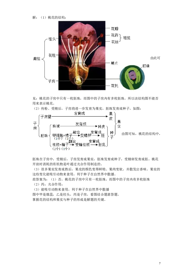 浙江省舟山市2019年中考生物真题试题（含解析）_8.生物中考真题2015-2024年_2019年全国中考生物92份