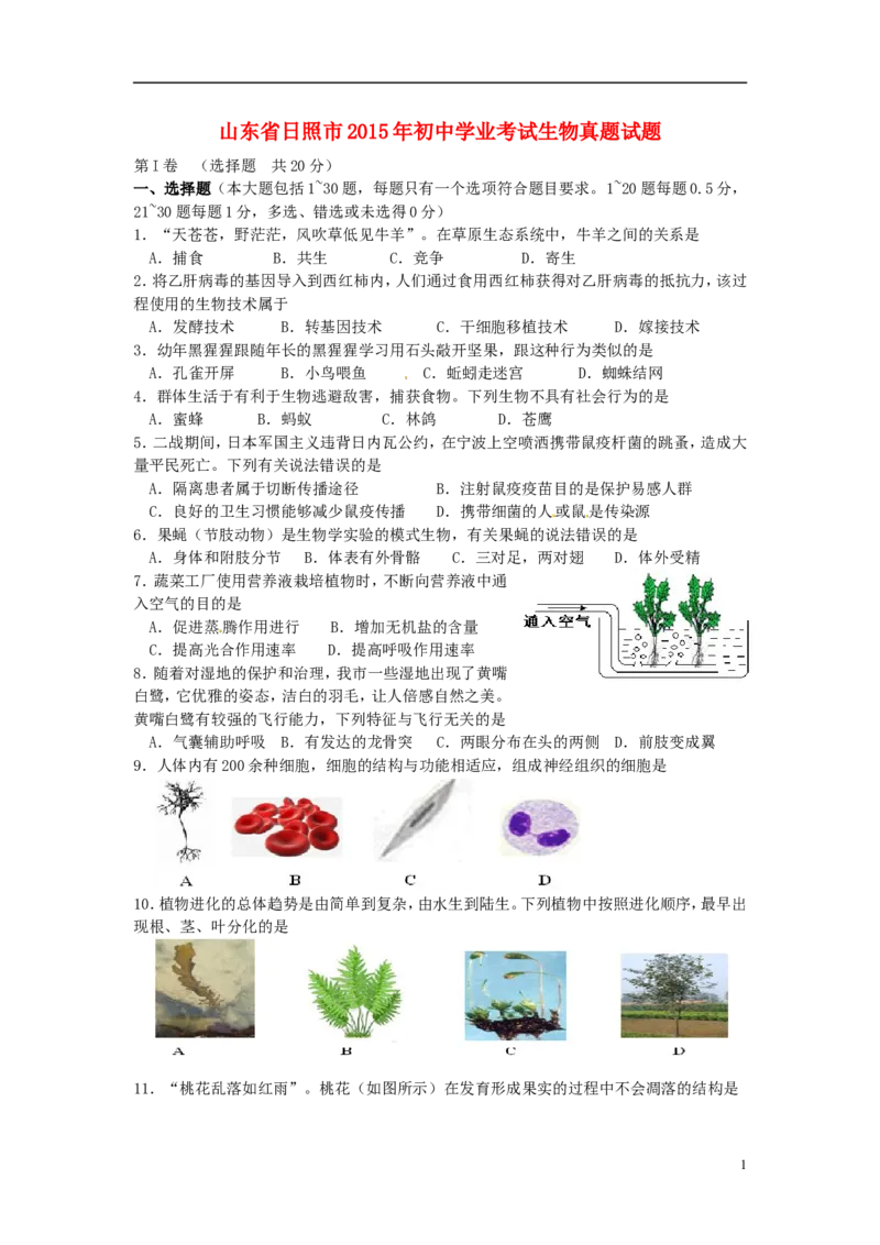 山东省日照市2015年中考生物真题试题（含答案）_8.生物中考真题2015-2024年_2015年全国中考生物74份