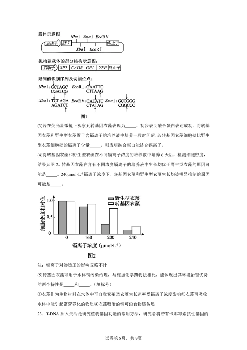 河北2025年高考河北卷生物高考真题文档版_1.高考2025全国各省真题+答案_9.高考生物真题答案更新中