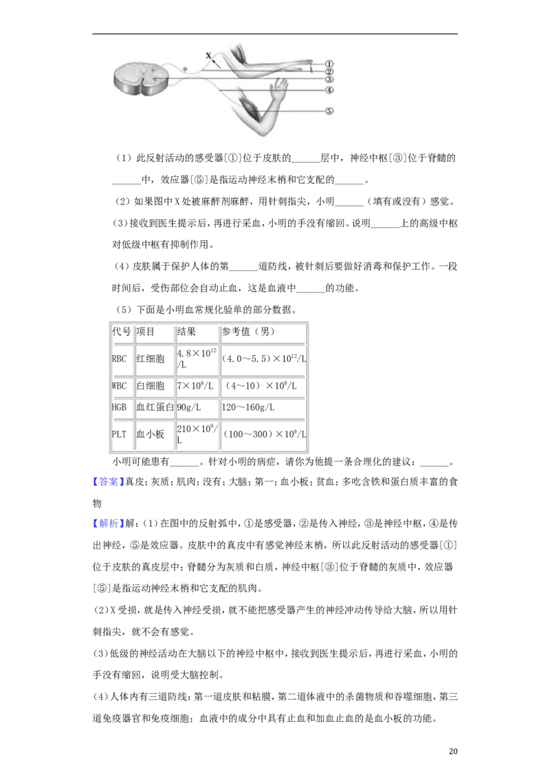 山东省德州市2018年中考生物真题试题（含解析）_8.生物中考真题2015-2024年_2018年全国中考生物141份