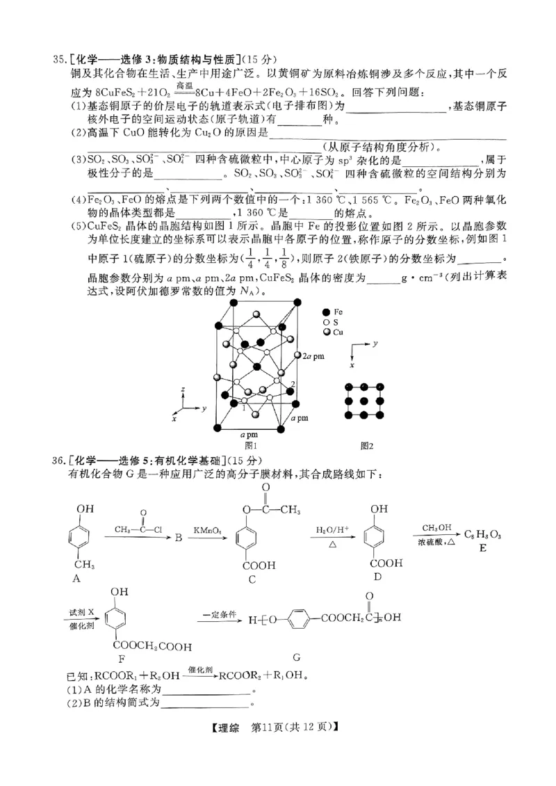 陕西二模理科综合_2024年4月_01按日期_13号_2024届陕西省高三下学期教学质量检测（二）_2024届陕西省高三下学期二模理综试题