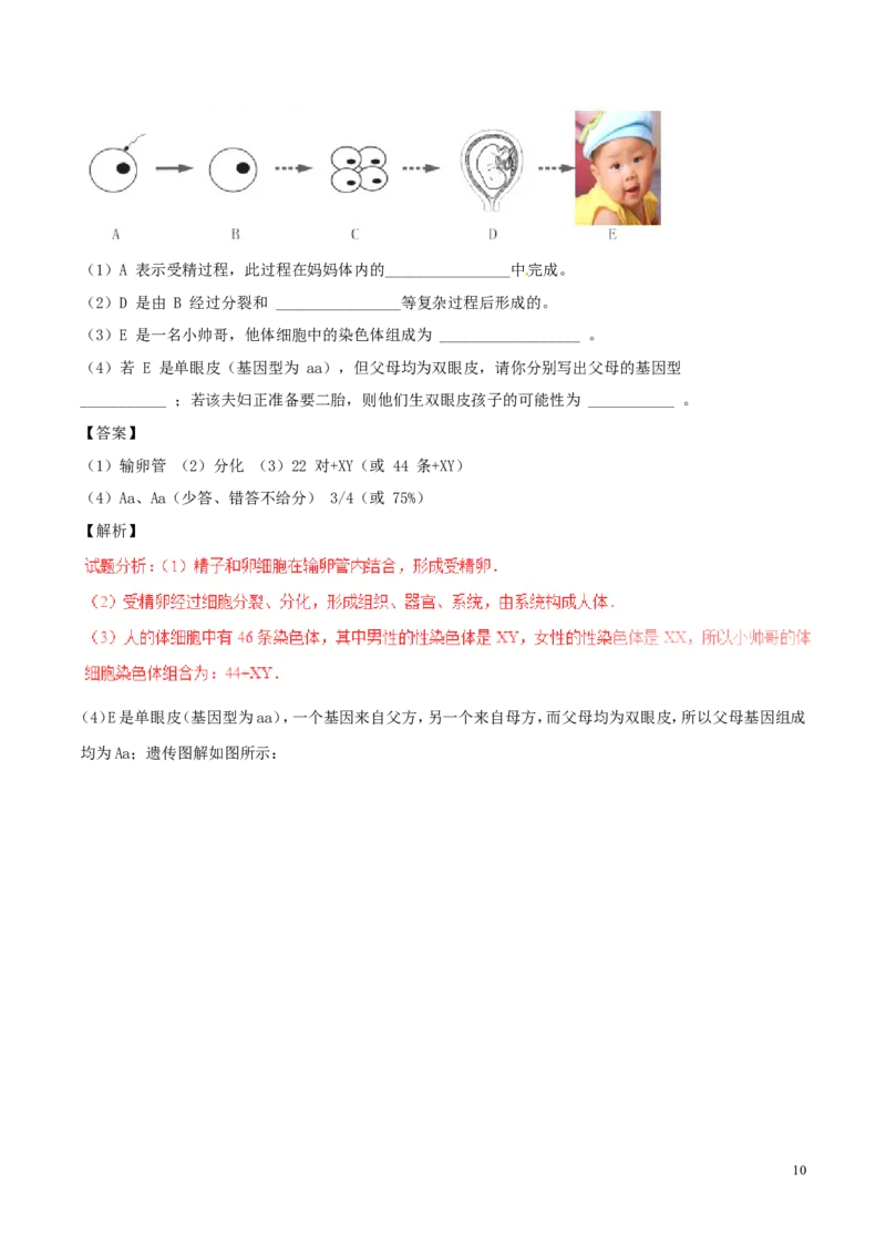 山东省济宁市2016年中考生物真题试题（含解析）_8.生物中考真题2015-2024年_2016年全国中考生物74份