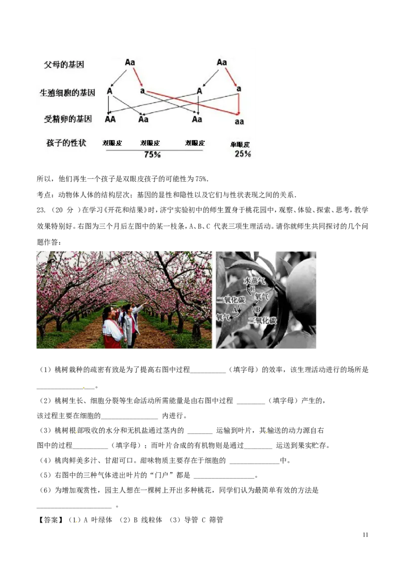 山东省济宁市2016年中考生物真题试题（含解析）_8.生物中考真题2015-2024年_2016年全国中考生物74份