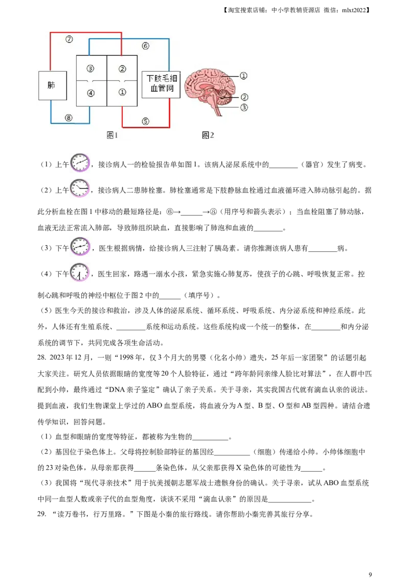 精品解析：2024年陕西省中考生物真题（原卷版）_8.生物中考真题2015-2024年_2024年中考生物真题_精品解析：2024年陕西省中考生物真题