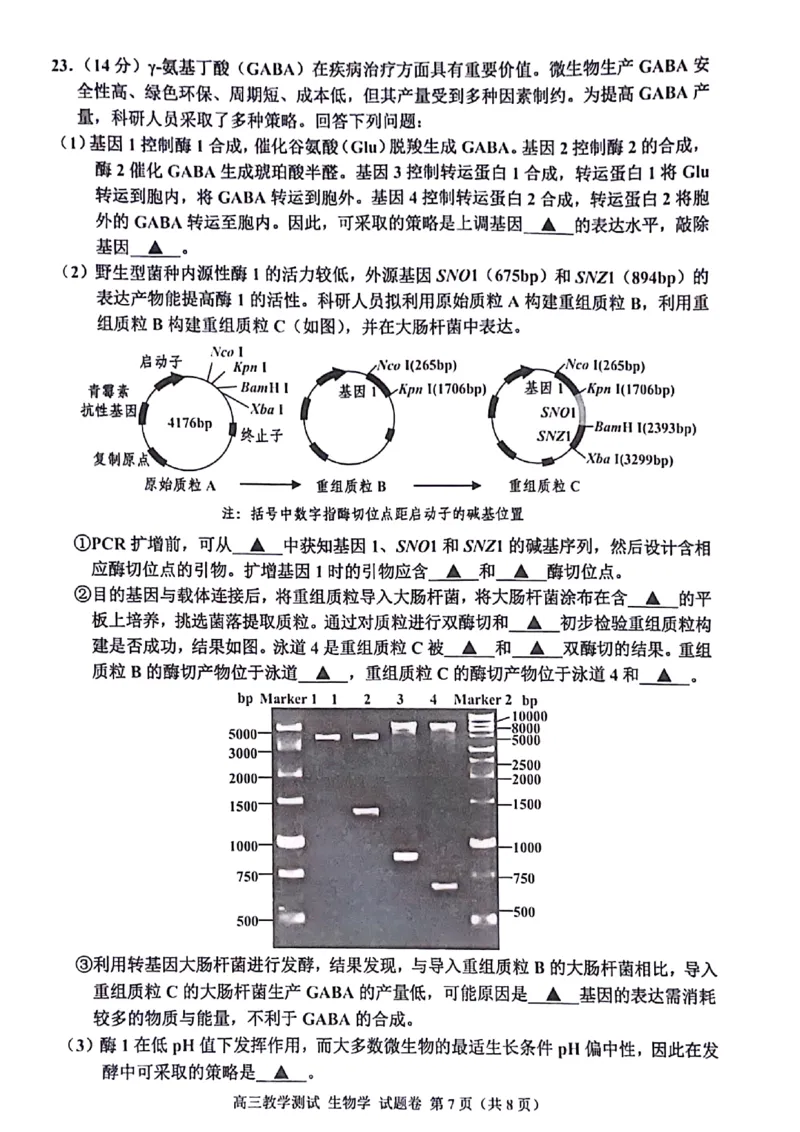 2024届浙江省嘉兴市高三二模生物试题+答案(1)_2024年4月_024月合集_2024届浙江省嘉兴市高三下学期二模