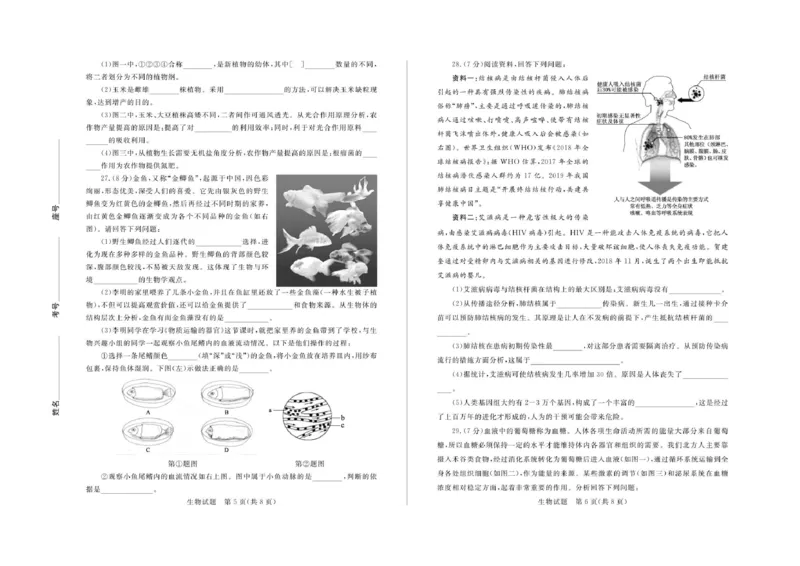 山东省德州市2019年中考生物真题试题(扫描版)_8.生物中考真题2015-2024年_地区卷_山东省_山东德州生物11-20