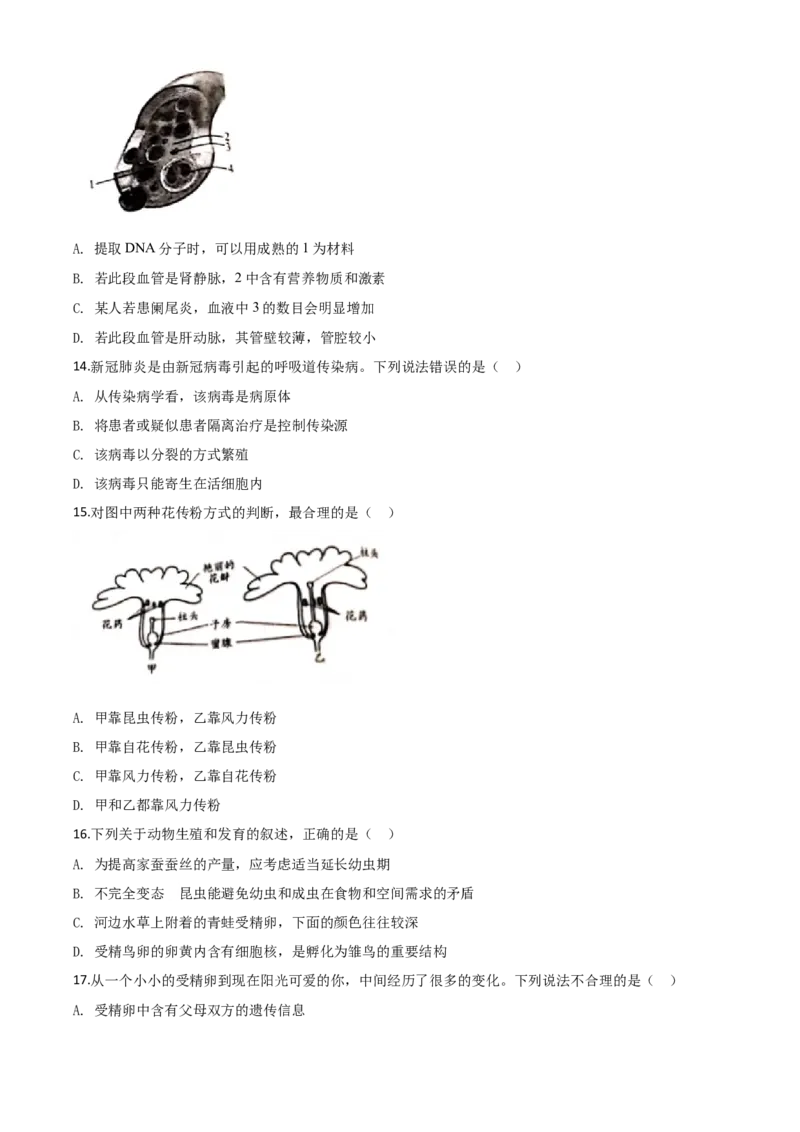 精品解析：山东省潍坊市2020年中考生物试题（原卷版）_8.生物中考真题2015-2024年_2020生物真题74份_2020年中考真题精品解析生物（山东潍坊卷）精编word版