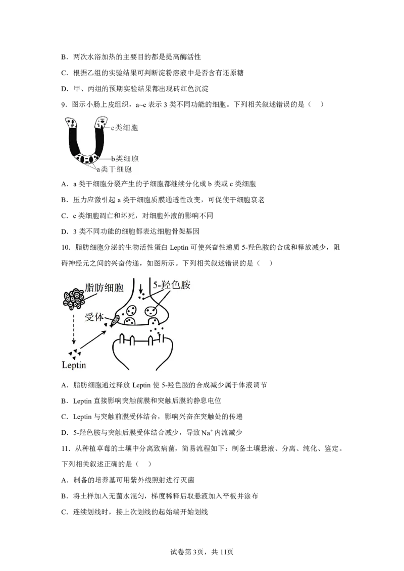 江苏2025年高考江苏卷生物高考真题文档版_1.高考2025全国各省真题+答案_9.高考生物真题答案更新中