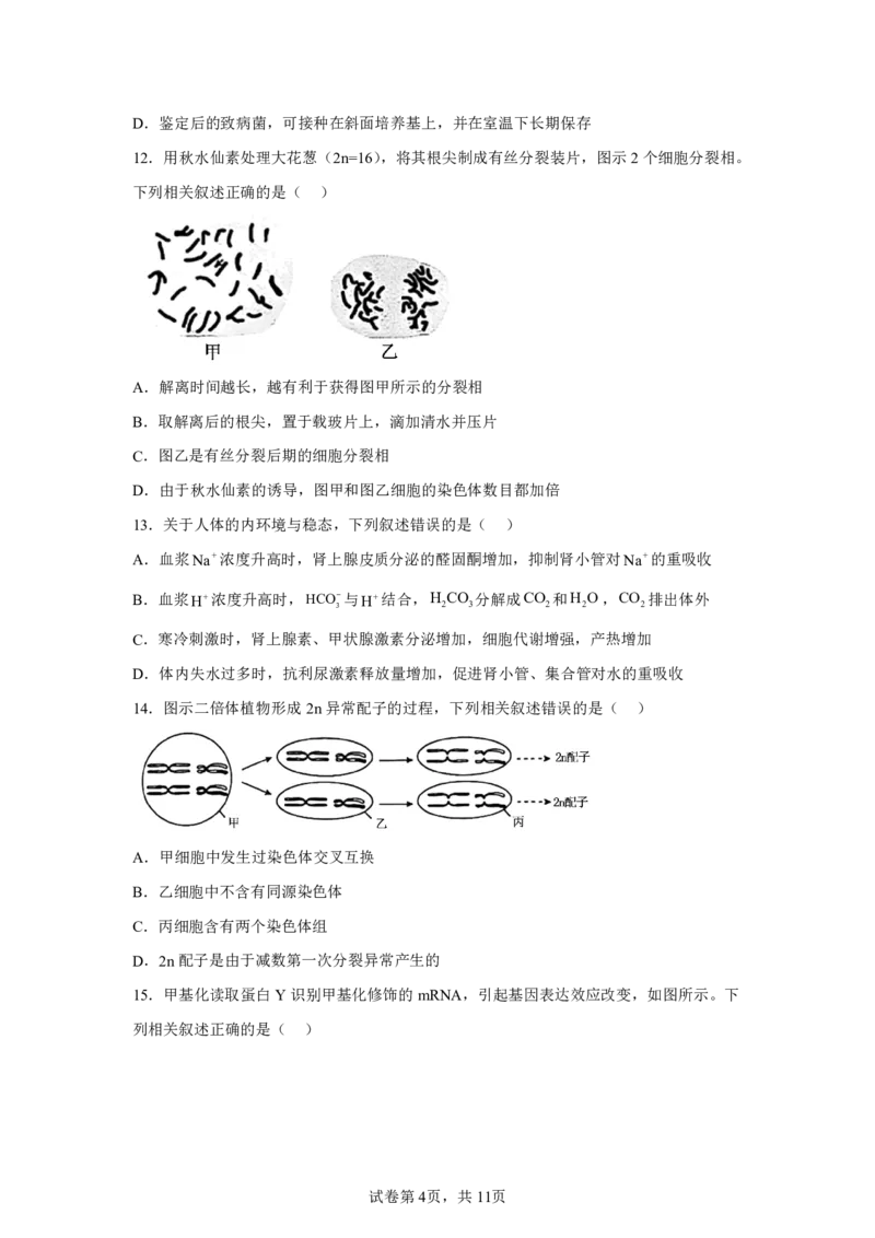 江苏2025年高考江苏卷生物高考真题文档版_1.高考2025全国各省真题+答案_9.高考生物真题答案更新中