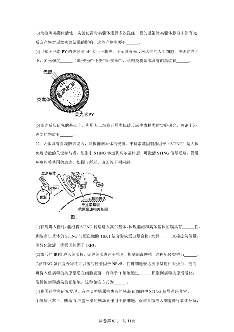 江苏2025年高考江苏卷生物高考真题文档版_1.高考2025全国各省真题+答案_9.高考生物真题答案更新中