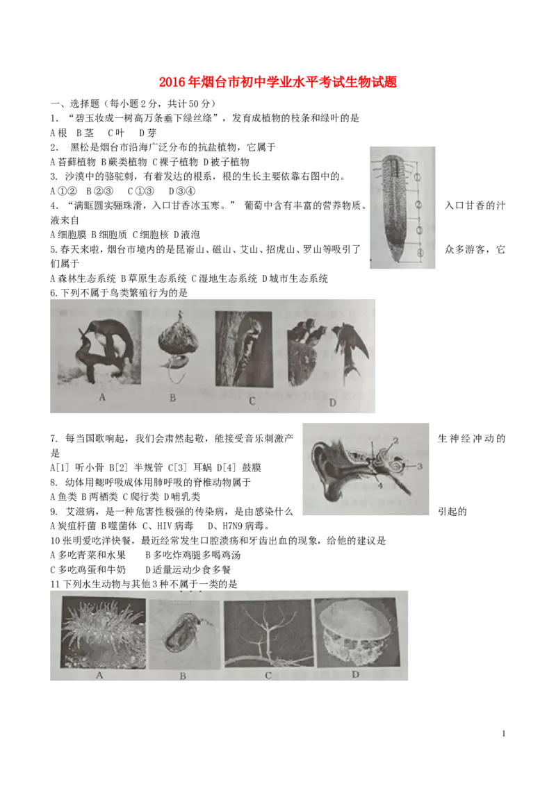 山东省烟台市2016年中考生物真题试题（含答案）_8.生物中考真题2015-2024年_2016年全国中考生物74份