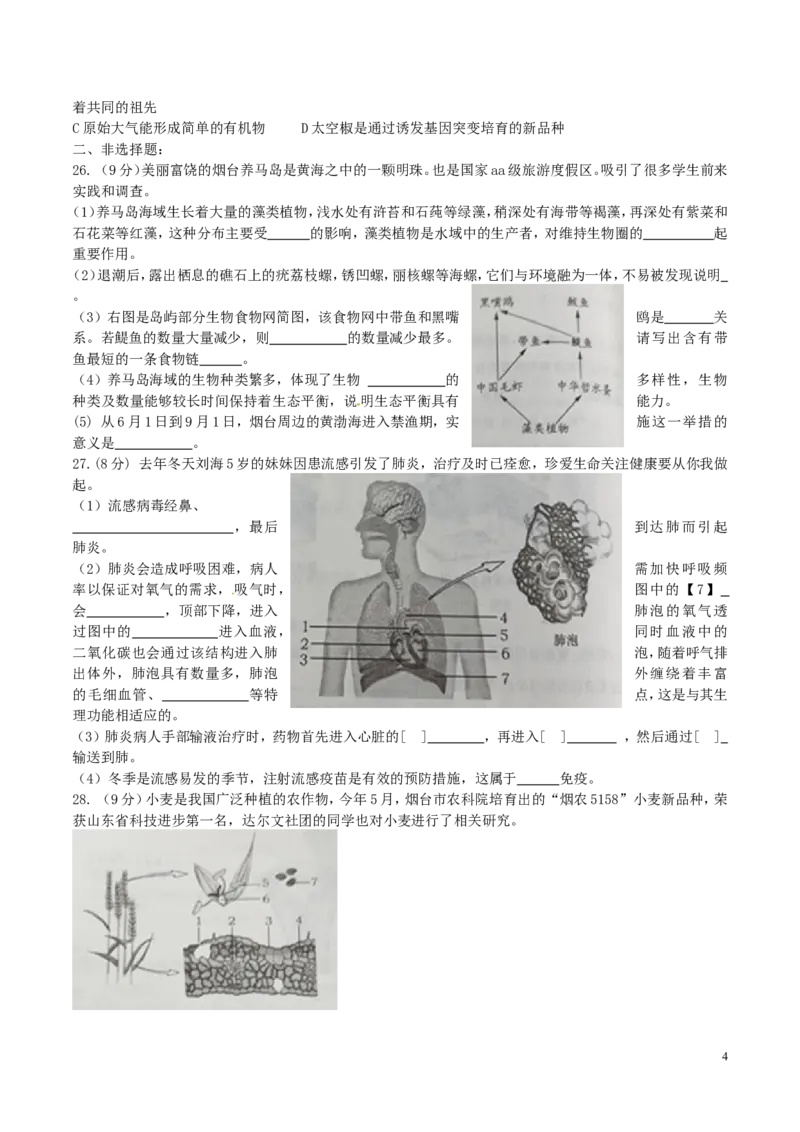 山东省烟台市2016年中考生物真题试题（含答案）_8.生物中考真题2015-2024年_2016年全国中考生物74份