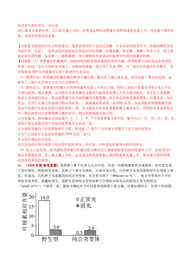 五年（2021-2025）全国高考生物真题分类汇编专题17植物激素的调节（全国通用）（解析版）_高考真题分类汇编_高考生物真题分类汇编（全国通用）五年（2021-2025）
