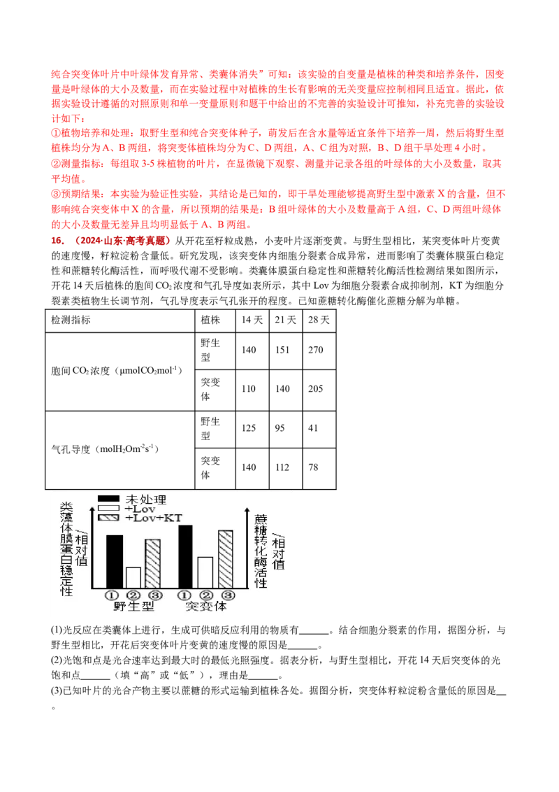 五年（2021-2025）全国高考生物真题分类汇编专题17植物激素的调节（全国通用）（解析版）_高考真题分类汇编_高考生物真题分类汇编（全国通用）五年（2021-2025）