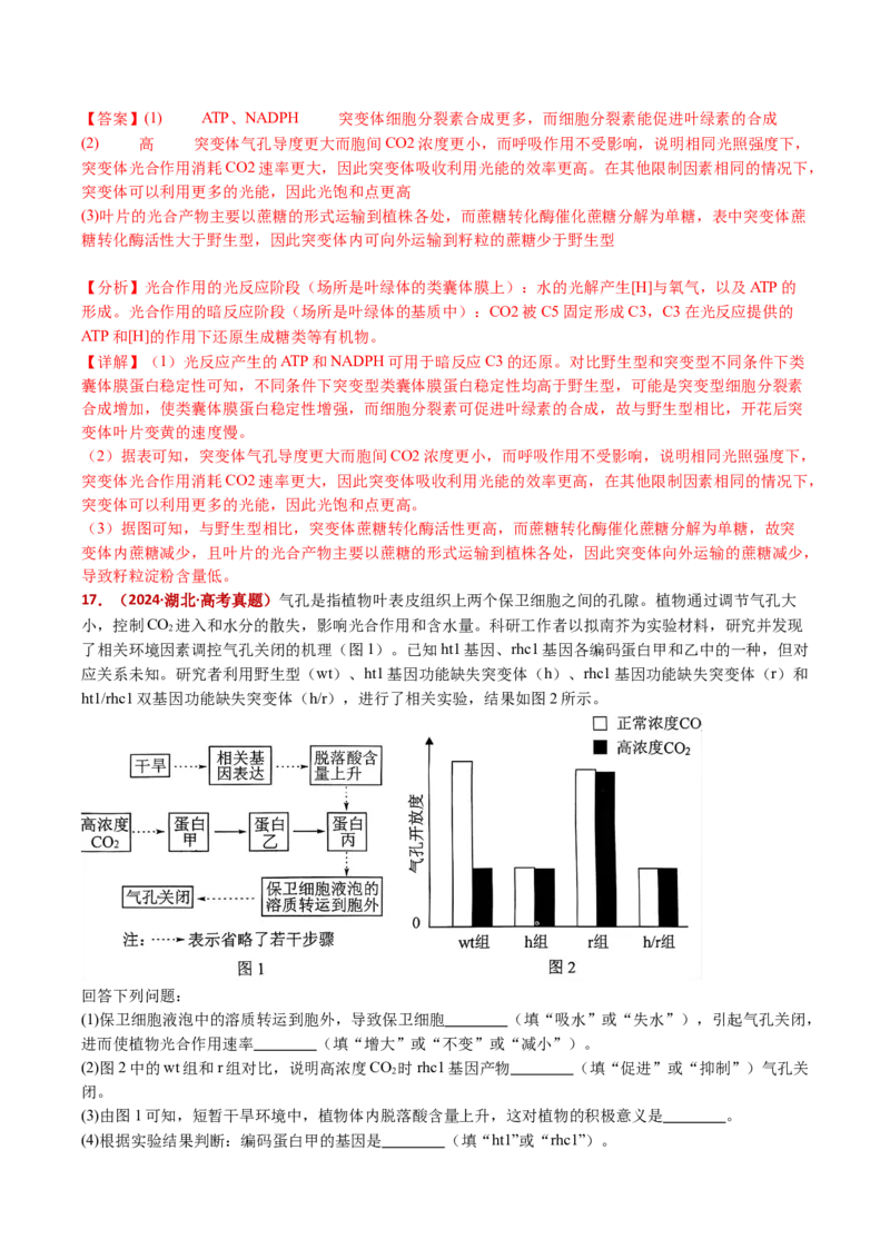 五年（2021-2025）全国高考生物真题分类汇编专题17植物激素的调节（全国通用）（解析版）_高考真题分类汇编_高考生物真题分类汇编（全国通用）五年（2021-2025）