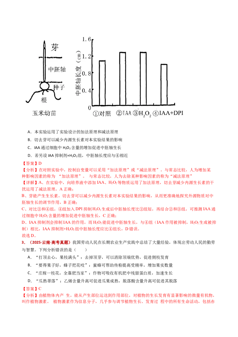 五年（2021-2025）全国高考生物真题分类汇编专题17植物激素的调节（全国通用）（解析版）_高考真题分类汇编_高考生物真题分类汇编（全国通用）五年（2021-2025）