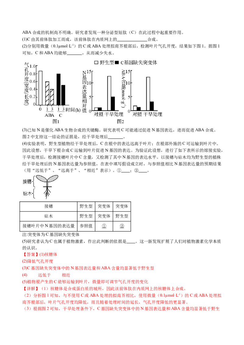 五年（2021-2025）全国高考生物真题分类汇编专题17植物激素的调节（全国通用）（解析版）_高考真题分类汇编_高考生物真题分类汇编（全国通用）五年（2021-2025）